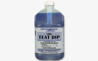 1205342-80_CNT-CHGTeatDip